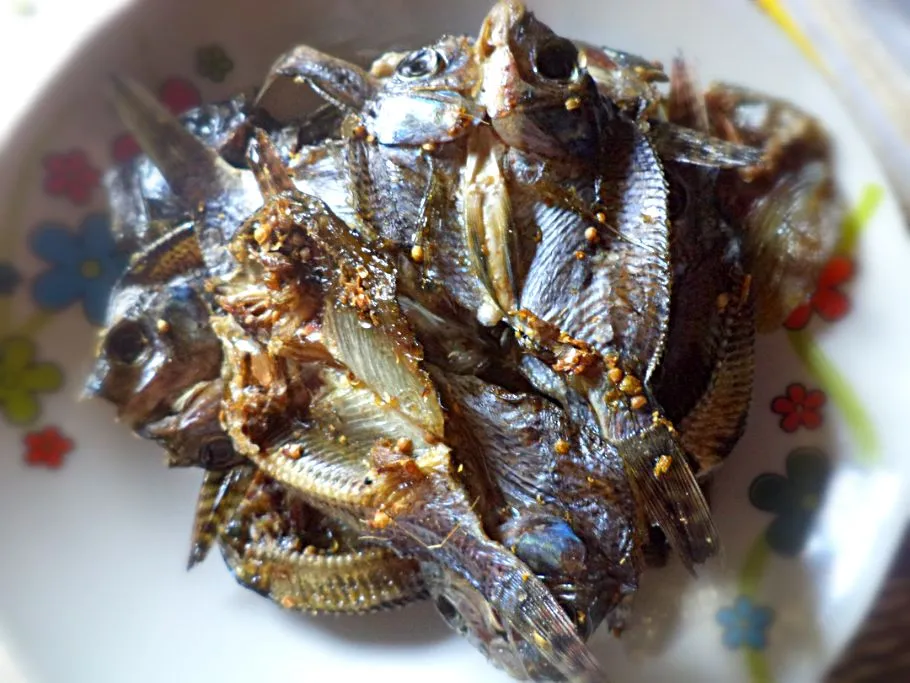 tilapia fish jerky
delicius taste, cruncy bite. nom nom|miaellyさん