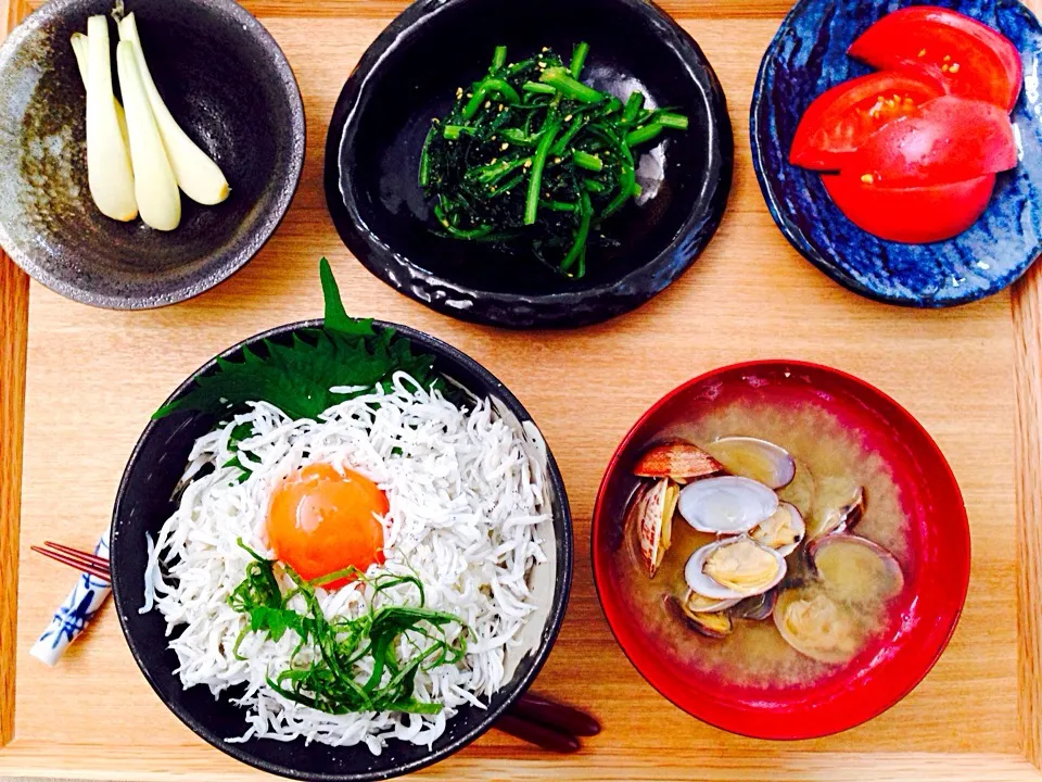 しらす丼。春菊の胡麻和え。|Yokoさん