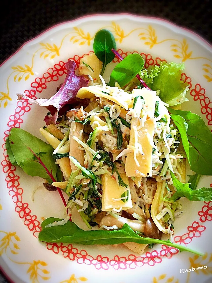 パッケリのシラス、水菜、鰹節マヨわさサラダ！|Tina Tomoko😋さん