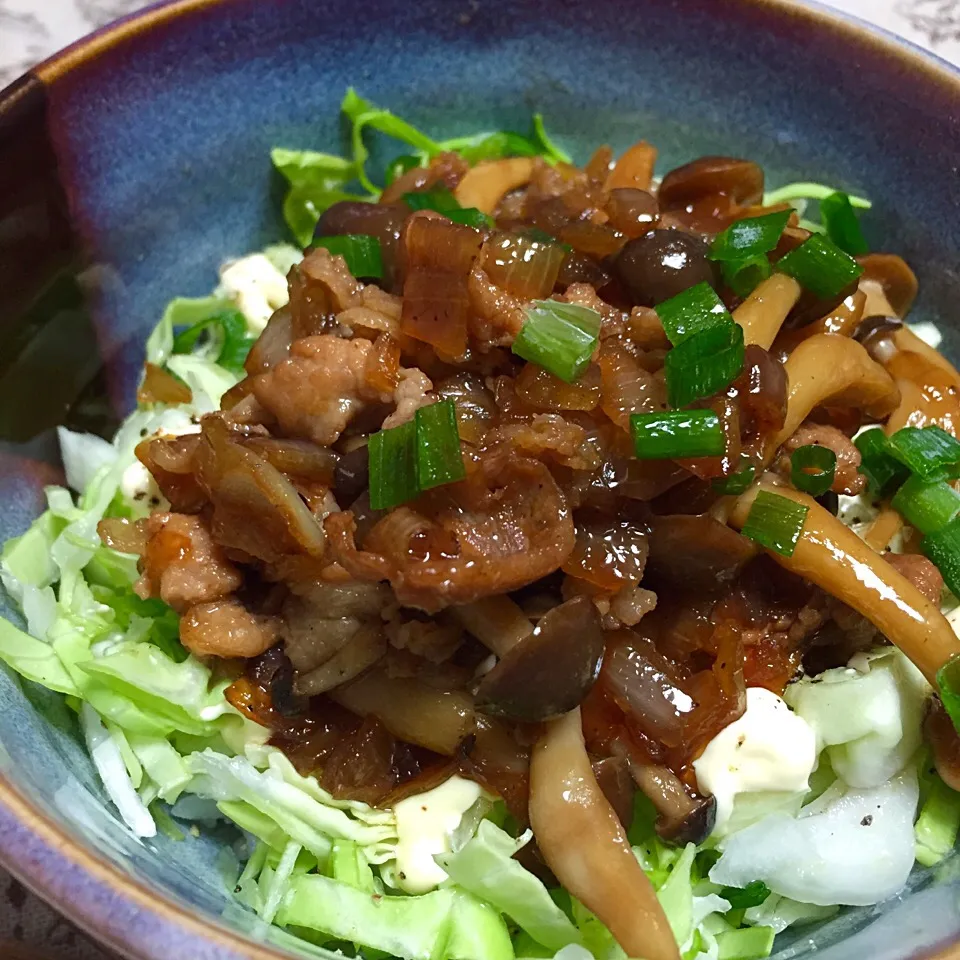 キャベツのっけ豚丼|カウンター嬢さん