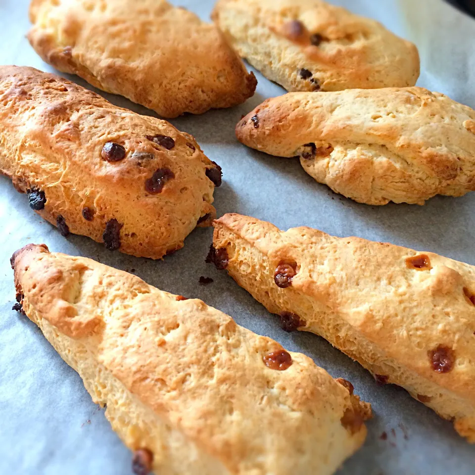 パン焼き忘れたので朝からスコーン|troutscakeさん