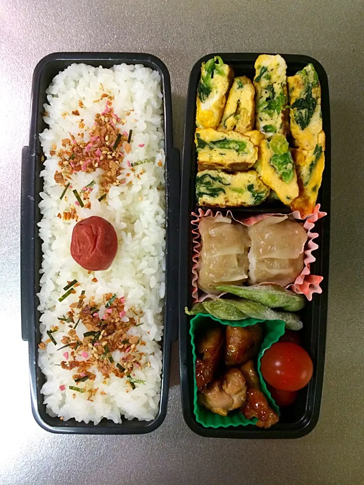 息子用 お弁当(204)|トモさん