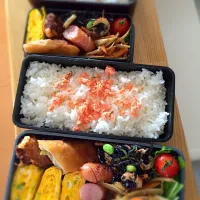 今日のお弁当|さっちゃんさん