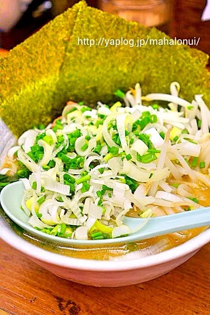 葱まみれのラーメンは美味しかった|ひこまるさん