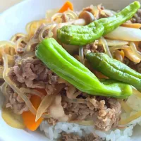 たっぷり野菜の牛丼|ぶっちさん