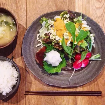 《伝統＆郷土食材シリーズ》高野豆腐　凍り豆腐　凍み豆腐のレシピ集《乾燥豆腐》パート2〜洋食　中華　タイ料理まで！アレンジ編〜