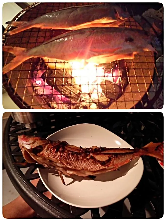 グルクン
沖縄の魚です。七輪で炭焼きにしました。見た目より脂がのってて美味いです。|kamekameさん