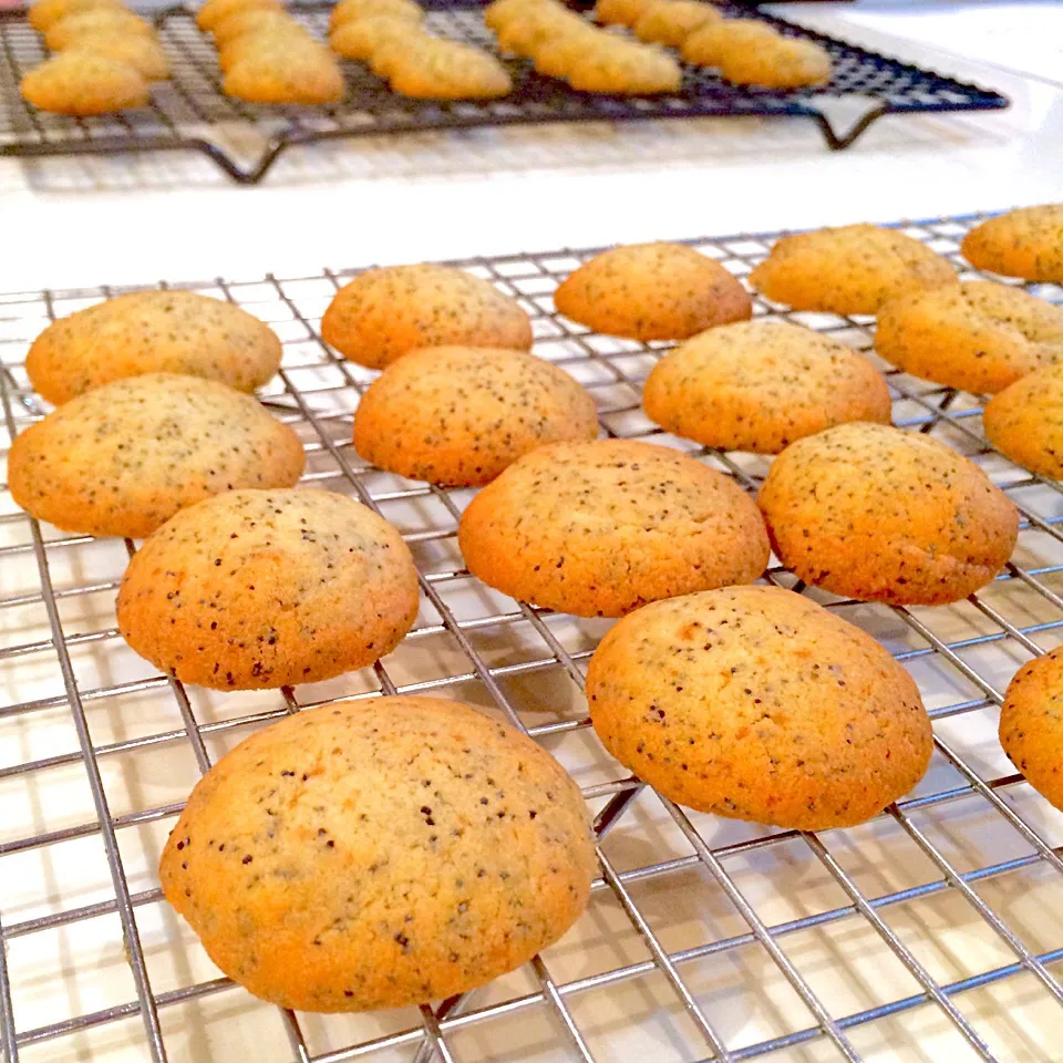 Snapdishの料理写真:Poppy seed cookies|charさん