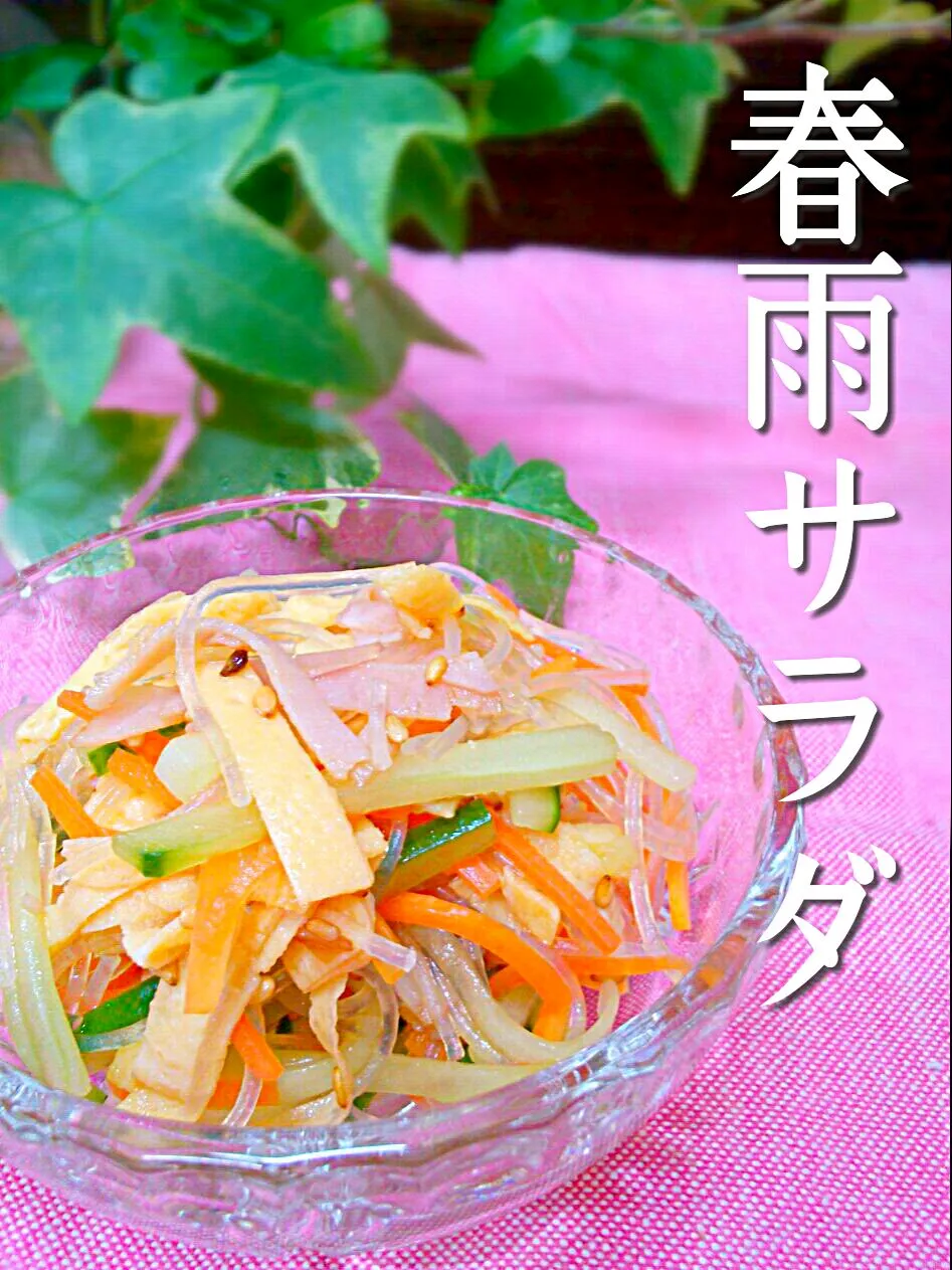 salad of bean-starch vermicelli!!|和田 匠生さん