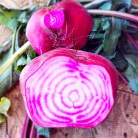 Local Arizona beets.|Denise Elfenbeinさん