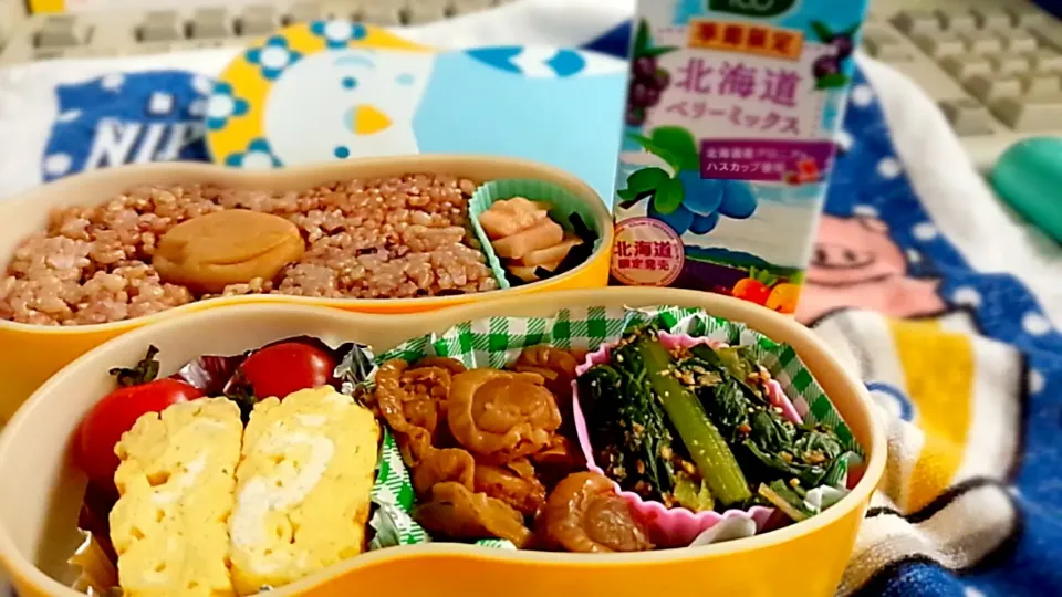 今日のお弁当⭐|かおりんさん