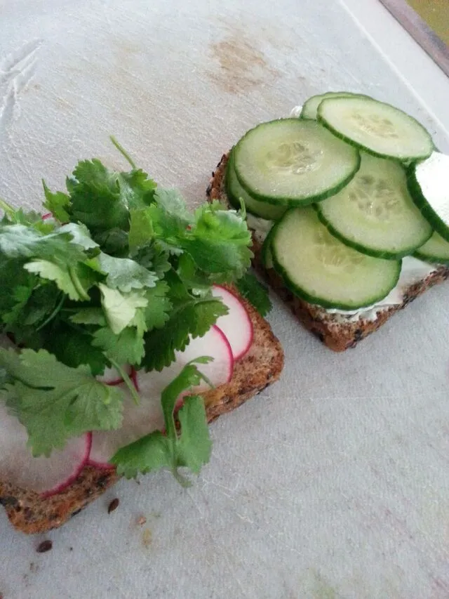 making my cucumber and radish  sandwich with mayo, spicy mustard, and cilantro.|Polly Gelfusoさん