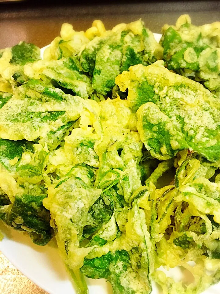 Sweet Potato Tops ( Camote Leaves) Tempura|Laarni Nabongさん