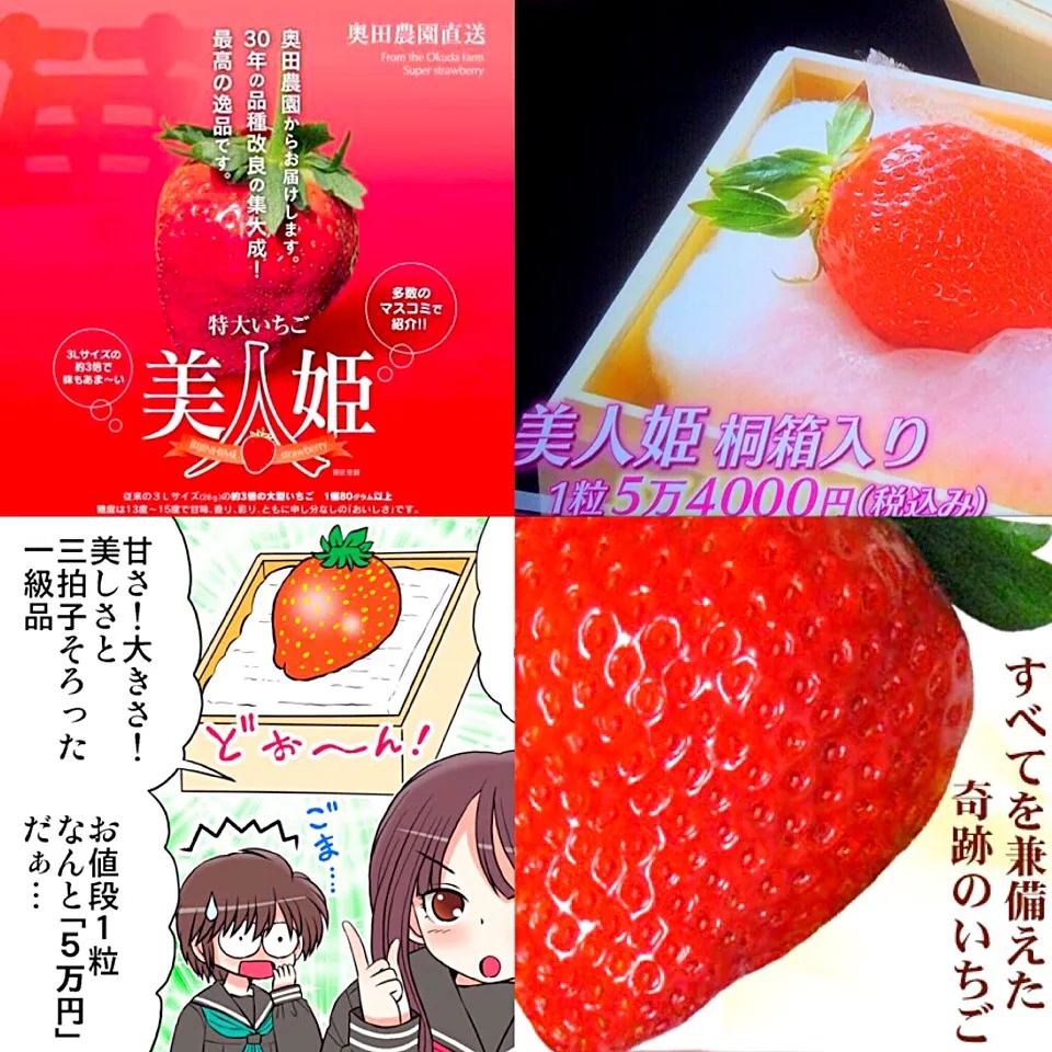 １粒5万4000円の🍓|Toru Satoさん