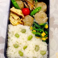 Snapdishの料理写真:今日のお弁当|naokoさん