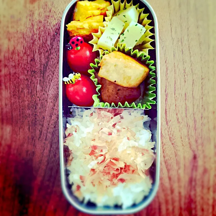 Snapdishの料理写真:長男お弁当 2015/06/05|yukoさん