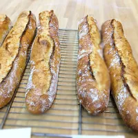 Baguette Traditionale|satoshi kitahamaさん