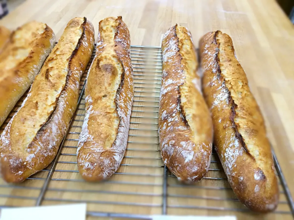 Baguette Traditionale|satoshi kitahamaさん