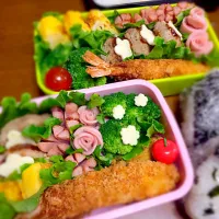 6/5旦那様と娘のお弁当|momoichiさん