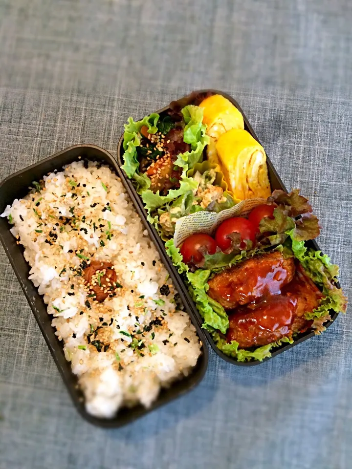 Snapdishの料理写真:ハンバーグ弁当（ぱぱ弁当）|さやつんさん