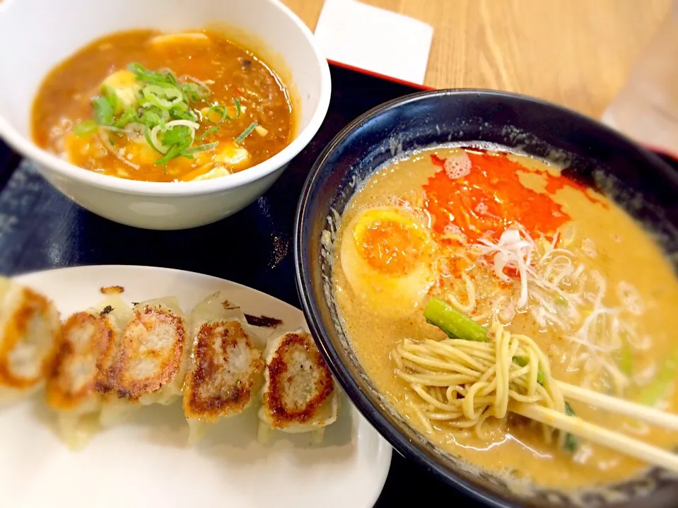 鳥担々麺と鳥なんこつ餃子、四川麻婆丼！|えすとさん