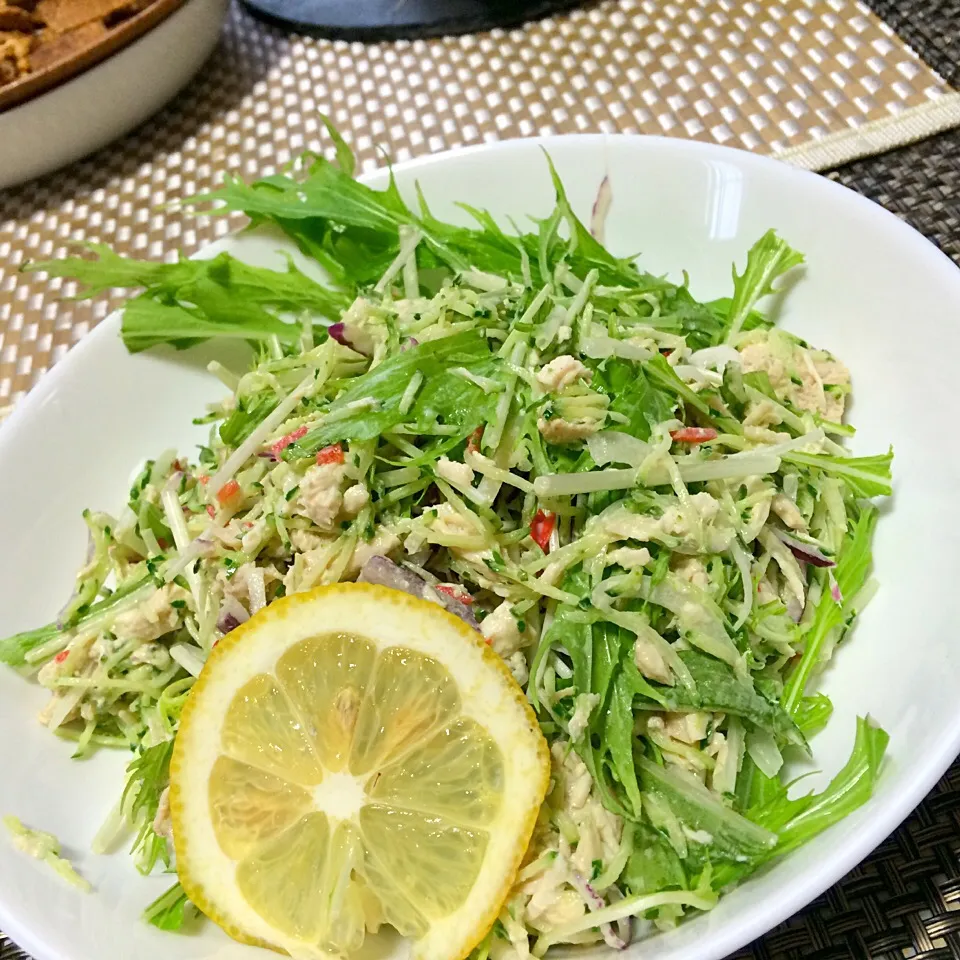 Miki Sanoの料理 素材🌟本当にチキン！野菜のスープで作るチキンフレーク でサラダ|佐野未起さん