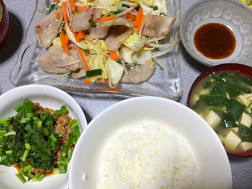 Snapdishの料理写真:しそネギ納豆、肉野菜炒め、白米、モロヘイヤとうふ味噌汁|ms903さん