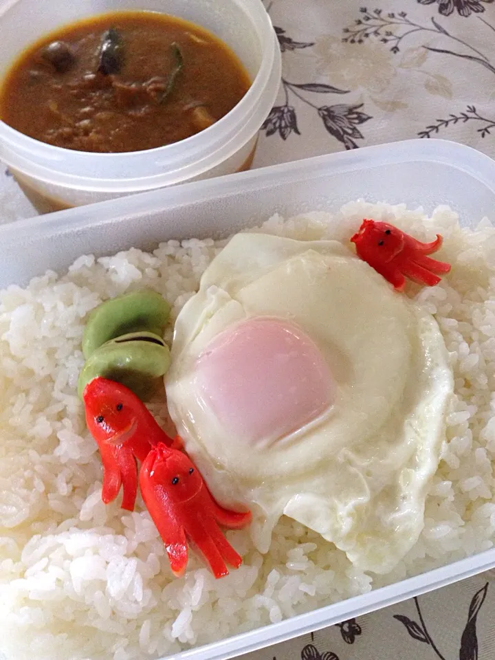 これでいいのかカレー弁当|マダム りらくまさん