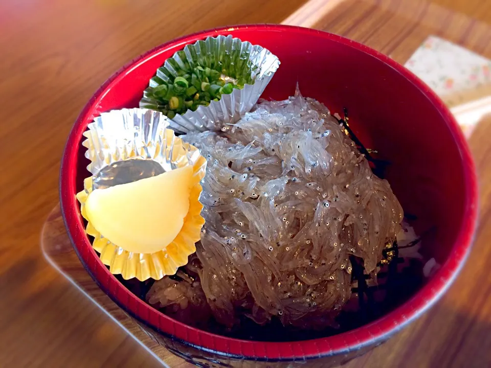 生しらす丼|マチママさん