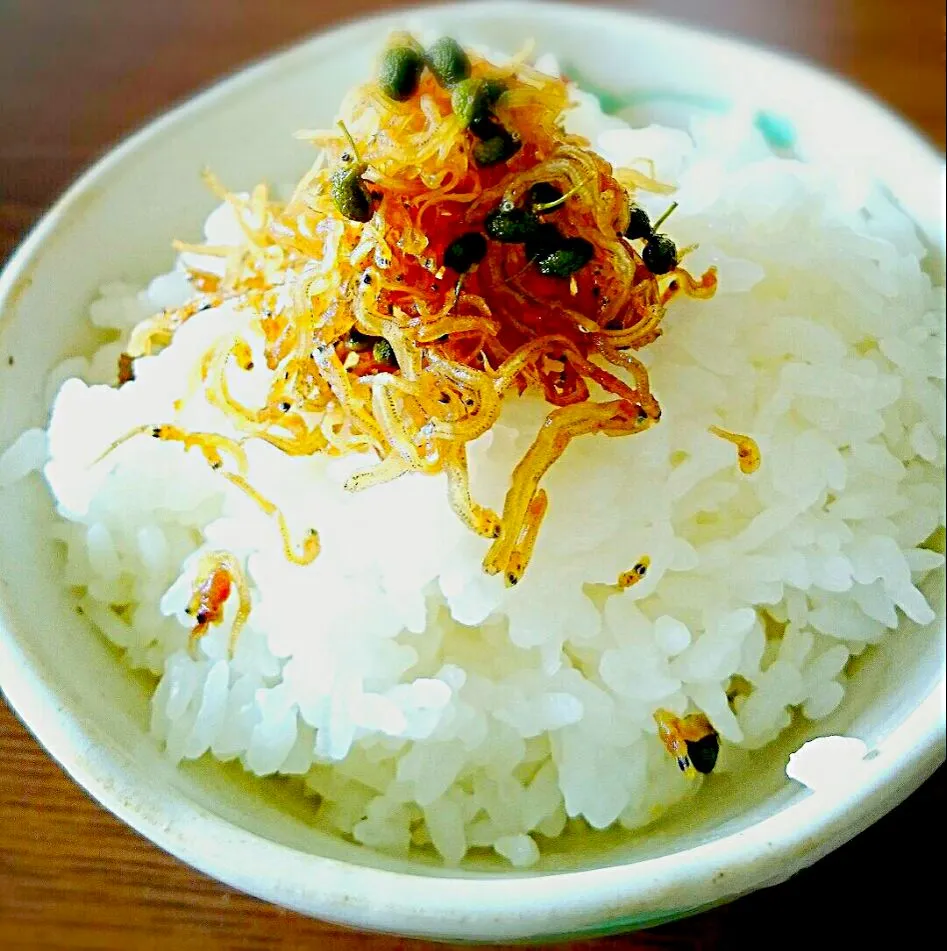 Snapdishの料理写真:自家製ちりめん山椒on   the   rice‹‹\(///'ω'///)/››|Yukiさん