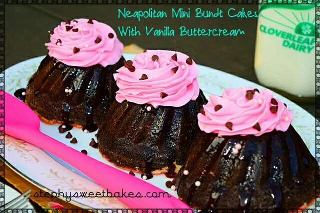 Neapolitan Mini Bundt Cakes with Vanilla Buttercream|Stephyさん