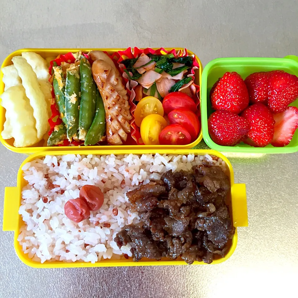 Snapdishの料理写真:牛しぐれ煮弁当|よーこさん