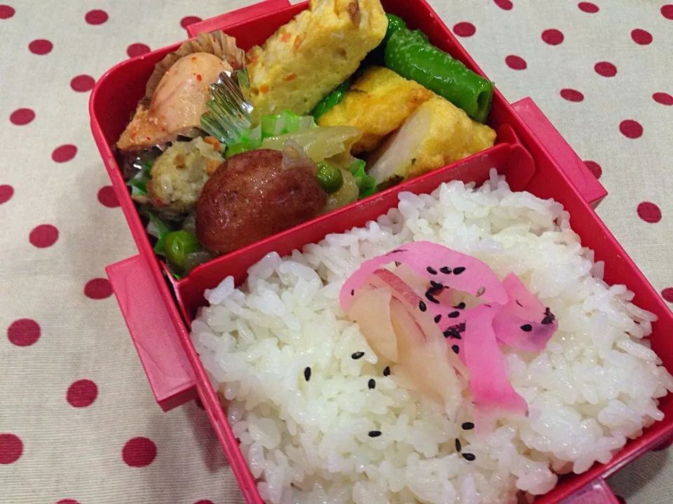 今日は雨 弁当|sakuramochiさん