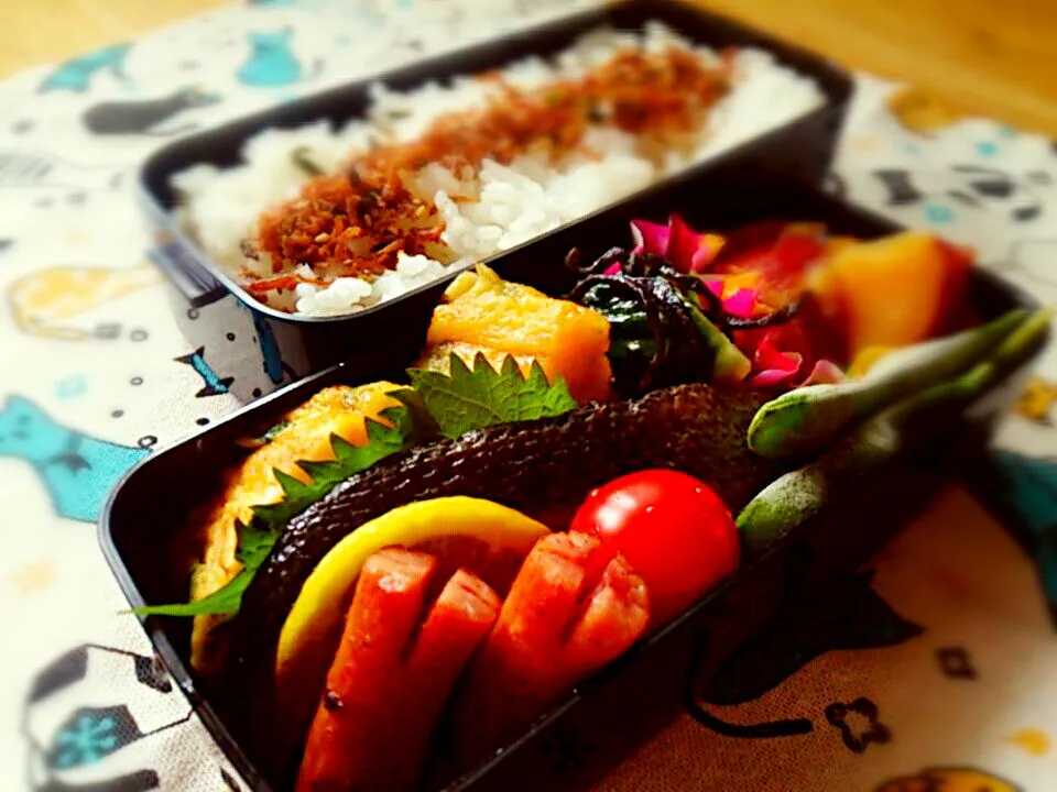 Snapdishの料理写真:#お弁当 #鮭弁当|Cat Miroさん