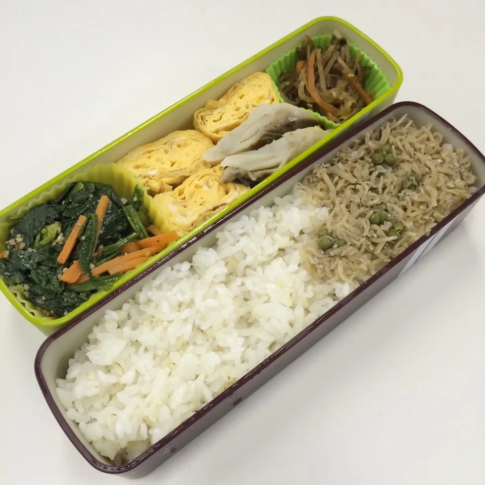 弁当（鰆塩焼き、玉子焼き、ほうれん草胡麻和え、きんぴら、自家製ちりめん山椒）|SasaMasa213さん