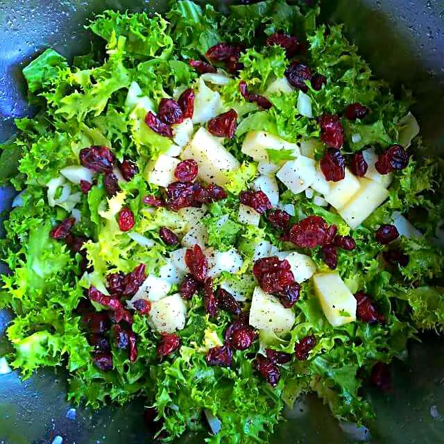 Snapdishの料理写真:endive,white turnip, sweet onion,apple,cider vinegar candied cranberries salad|CHUENCHAIさん