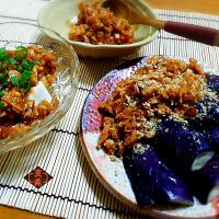 ✱油揚げの肉味噌風✱
ベジ麻婆奴とベジ麻婆茄子