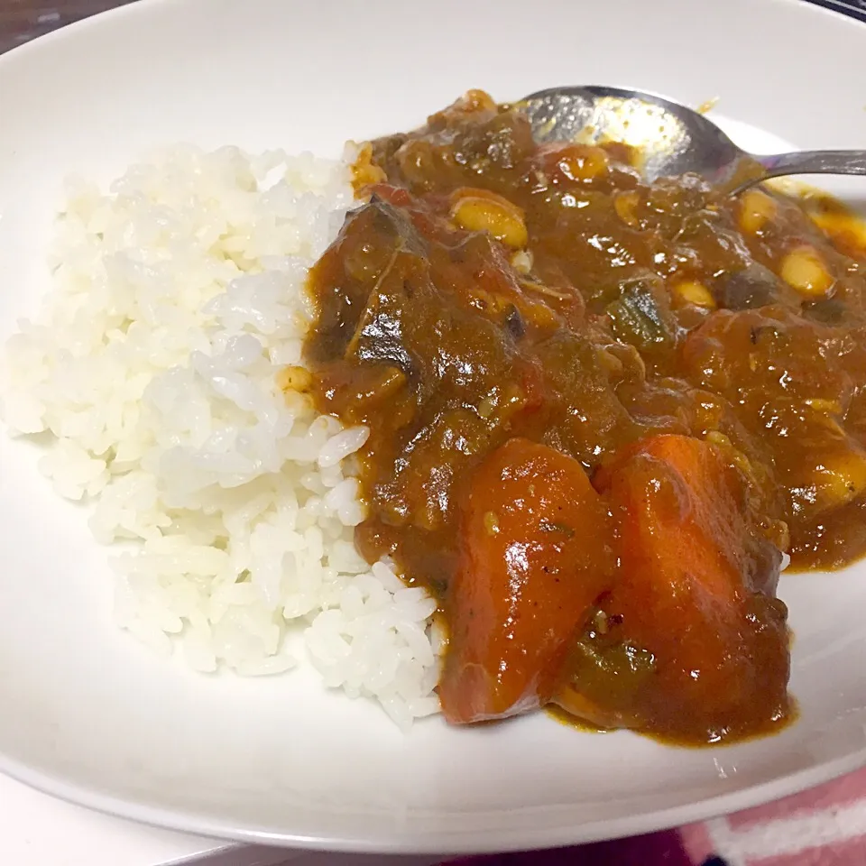 ラタツィユをカレーにリメイク|ねずみ本舗ひよこ完さん