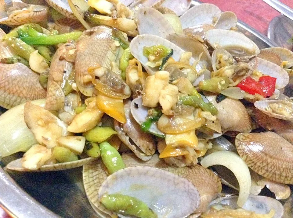 Kerang Lombok|Bambang Budiono Tjioさん