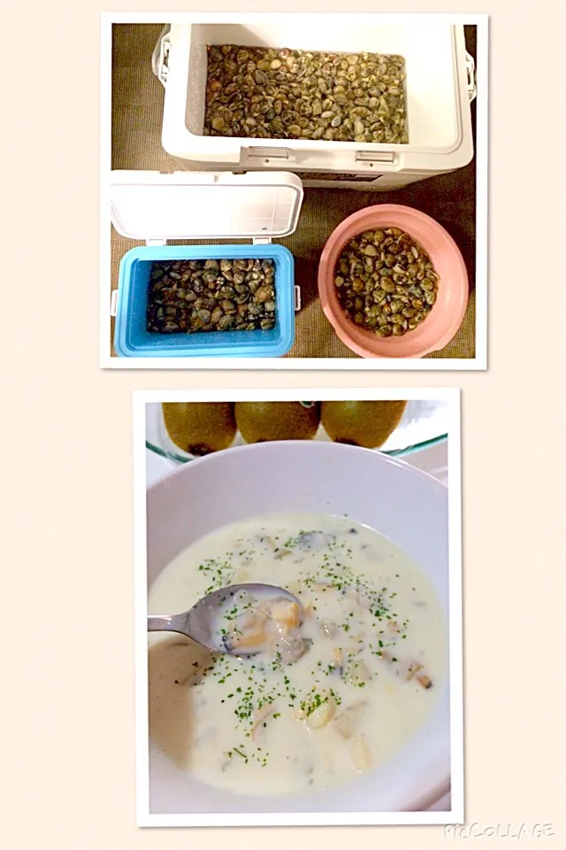 my homemade clamchowder|marian ilanoさん