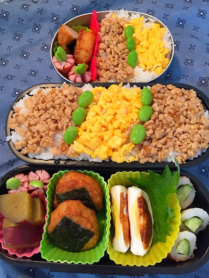 鶏そぼろ弁当！|asamisaraさん