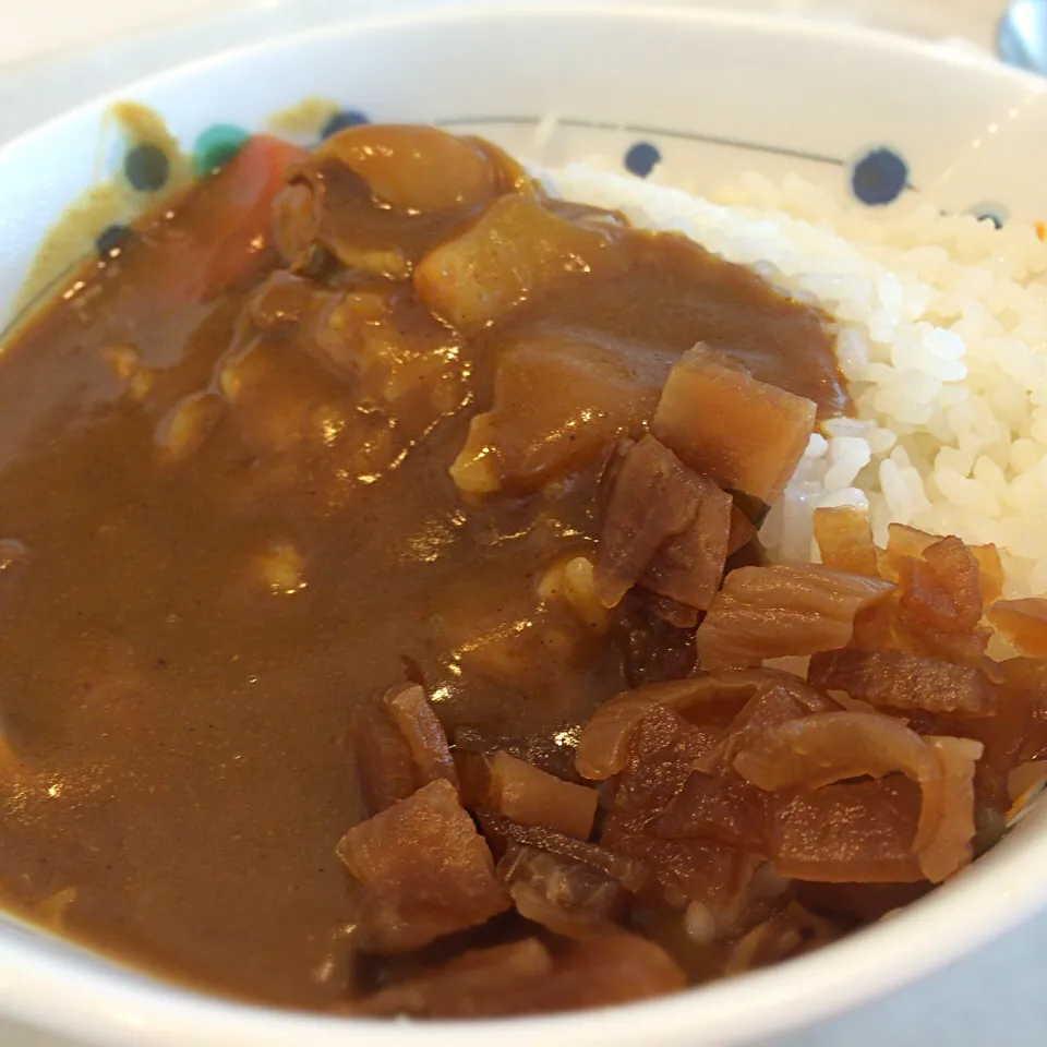 ミニカレー 120円。思ったより量が多い。|さるさん