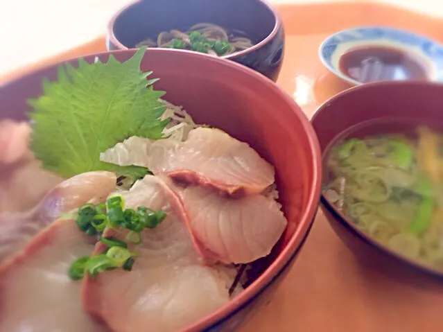 都庁食堂のはまち丼|shiottyさん