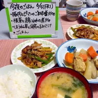 根菜と鶏つみれの煮物|Mikiさん