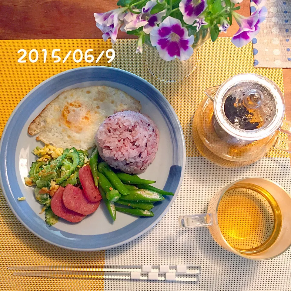 朝ごはん 2015・6!・9|ローゼルさん