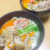 Snapdishの料理写真:主人が風邪をひいた時に作る塩うどん|でめきんさん