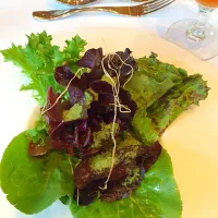 Fresh picked lettuces with lemon honey and olive oil. With fresh herb gratine|Tamra Scott Scrogginsさん