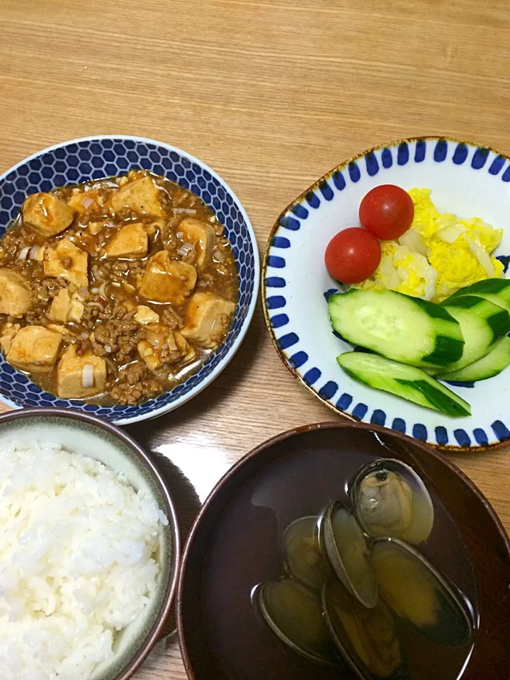 Snapdishの料理写真:2015.06.11夕飯|和さん