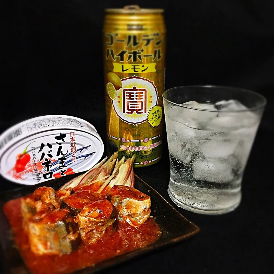 今宵の一酒一肴『ゴールデンハイボール』と『さんまとハバネロ』|ち〜おんさん