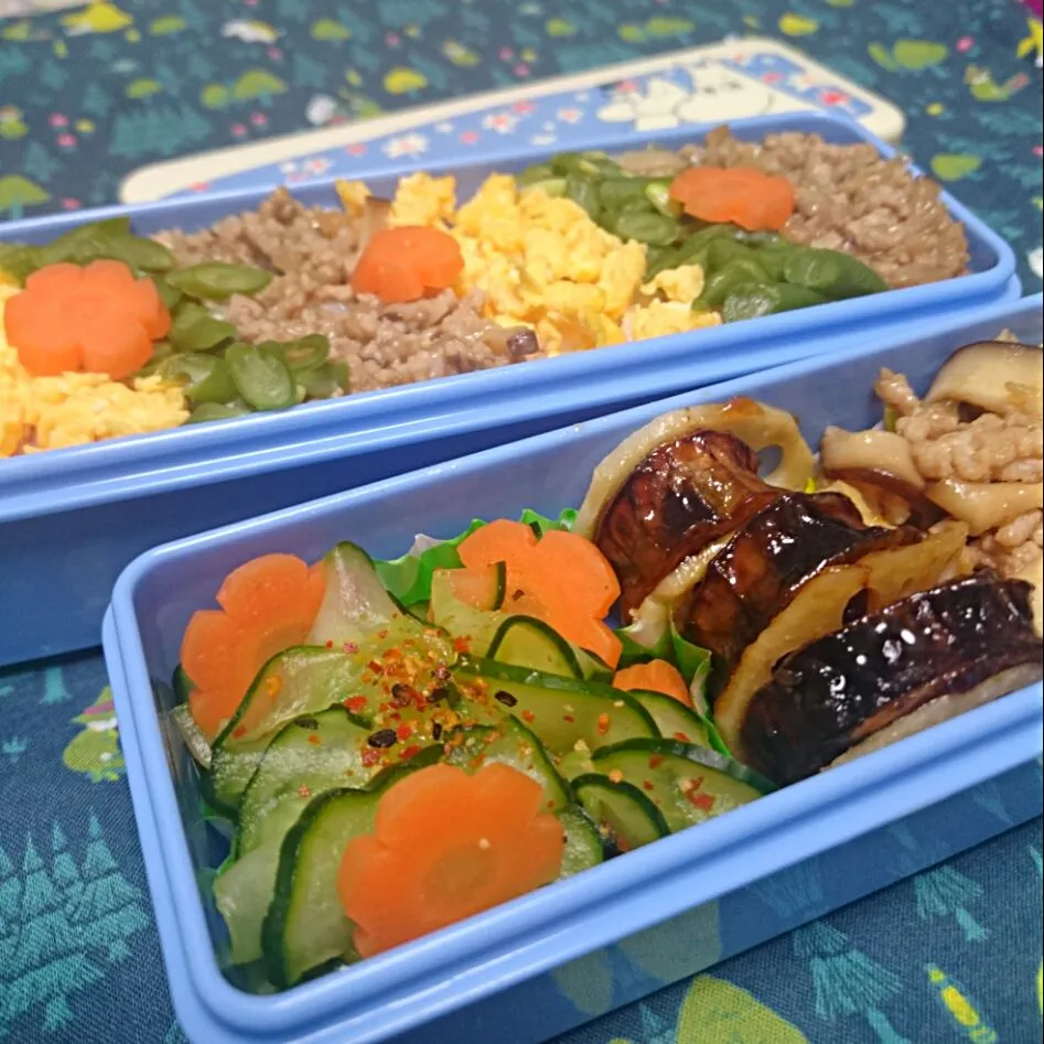 お弁当
三色そぼろごはん、きのこのソテー、茄子と蓮根の甘辛煮、キュウリと人参の浅漬け|さっちんさん